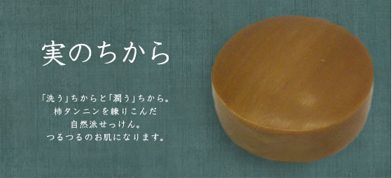 実のちから