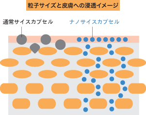 粒子サイズと皮膚への浸透イメージ